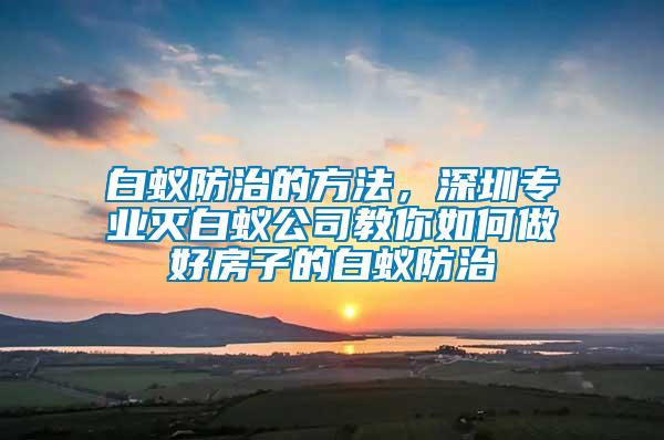 白蟻防治的方法，深圳專業(yè)滅白蟻公司教你如何做好房子的白蟻防治