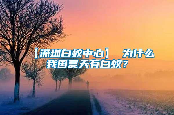 【深圳白蟻中心】 為什么我國(guó)夏天有白蟻？