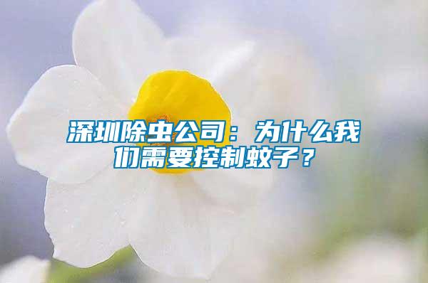 深圳除蟲公司：為什么我們需要控制蚊子？