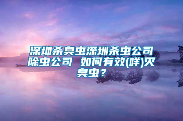 深圳殺臭蟲深圳殺蟲公司除蟲公司 如何有效(咩)滅臭蟲？