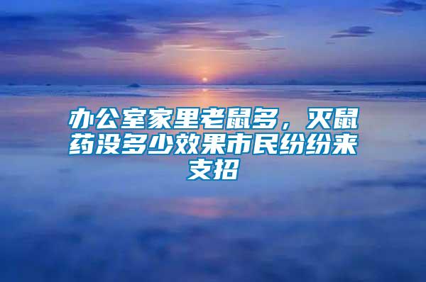 辦公室家里老鼠多，滅鼠藥沒(méi)多少效果市民紛紛來(lái)支招