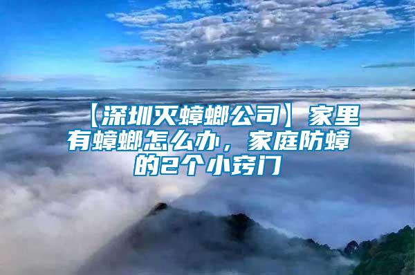 【深圳滅蟑螂公司】家里有蟑螂怎么辦，家庭防蟑的2個(gè)小竅門(mén)