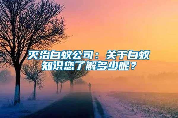 滅治白蟻公司：關(guān)于白蟻知識您了解多少呢？