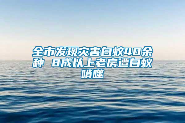 全市發(fā)現(xiàn)災(zāi)害白蟻40余種 8成以上老房遭白蟻啃噬