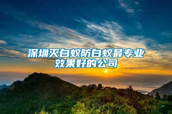 深圳滅白蟻防白蟻?zhàn)顚I(yè)效果好的公司