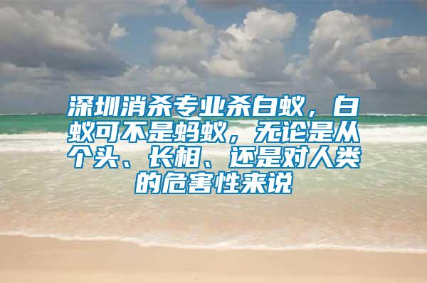 深圳消殺專業(yè)殺白蟻，白蟻可不是螞蟻，無論是從個(gè)頭、長(zhǎng)相、還是對(duì)人類的危害性來說