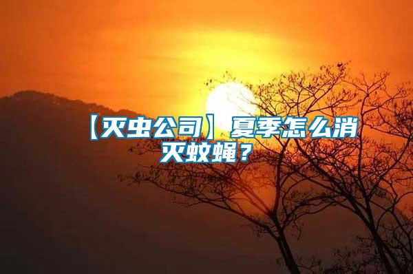 【滅蟲(chóng)公司】夏季怎么消滅蚊蠅？