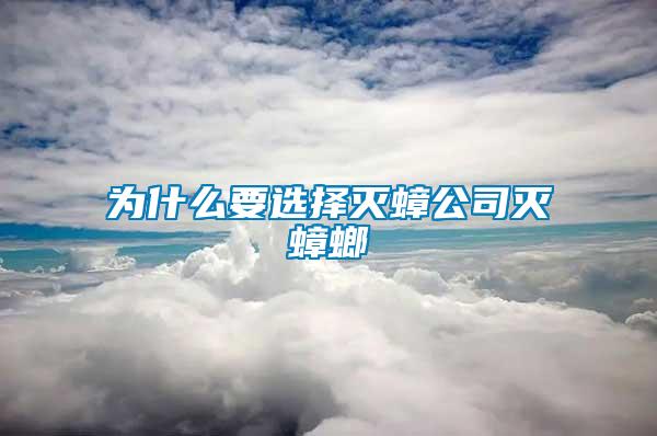 為什么要選擇滅蟑公司滅蟑螂