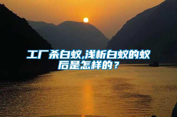 工廠殺白蟻,淺析白蟻的蟻后是怎樣的？