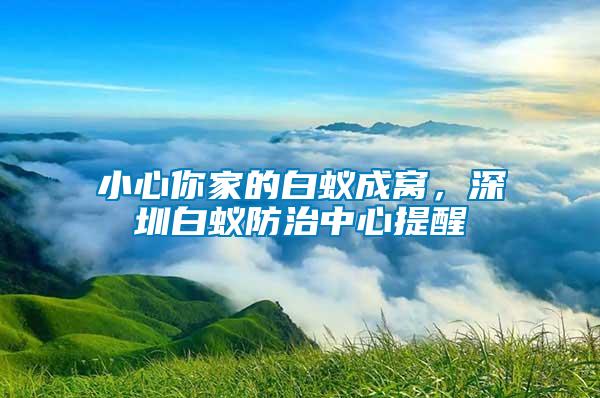 小心你家的白蟻成窩，深圳白蟻防治中心提醒