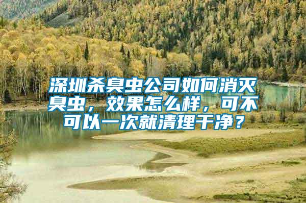 深圳殺臭蟲公司如何消滅臭蟲，效果怎么樣，可不可以一次就清理干凈？