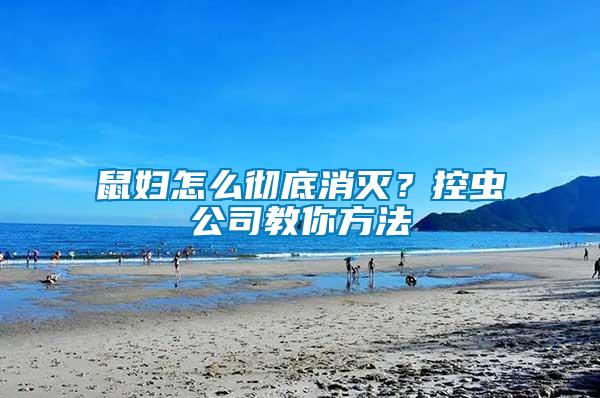 鼠婦怎么徹底消滅？控蟲(chóng)公司教你方法