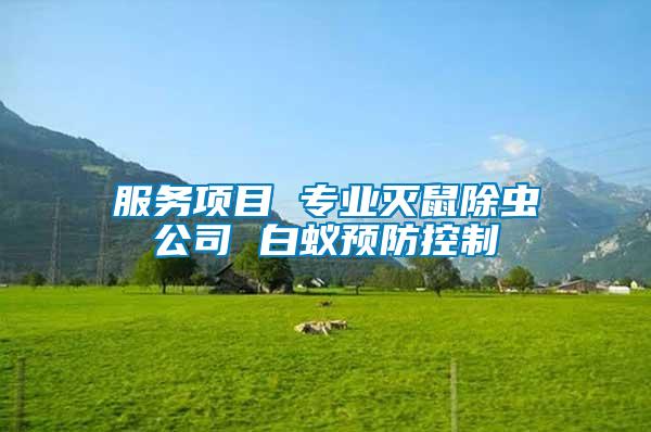 服務(wù)項目 專業(yè)滅鼠除蟲公司 白蟻預(yù)防控制