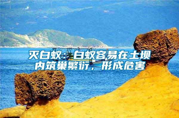 滅白蟻：白蟻容易在土壩內(nèi)筑巢繁衍，形成危害