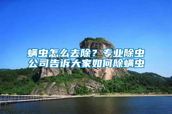 螨蟲怎么去除？專業(yè)除蟲公司告訴大家如何除螨蟲