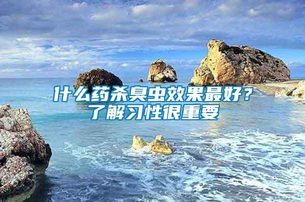 什么藥殺臭蟲效果最好？了解習(xí)性很重要