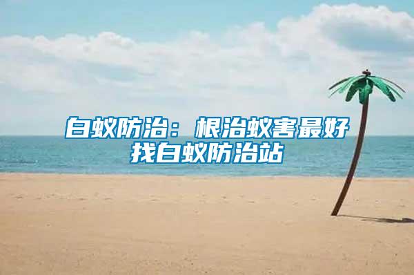 白蟻防治：根治蟻害最好找白蟻防治站