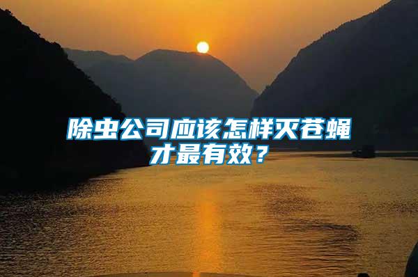 除蟲公司應(yīng)該怎樣滅蒼蠅才最有效？