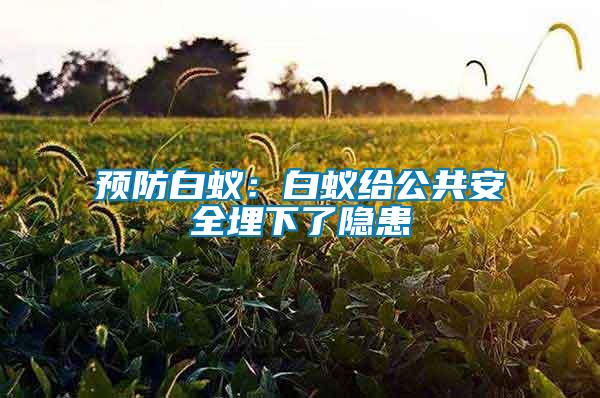 預(yù)防白蟻：白蟻給公共安全埋下了隱患