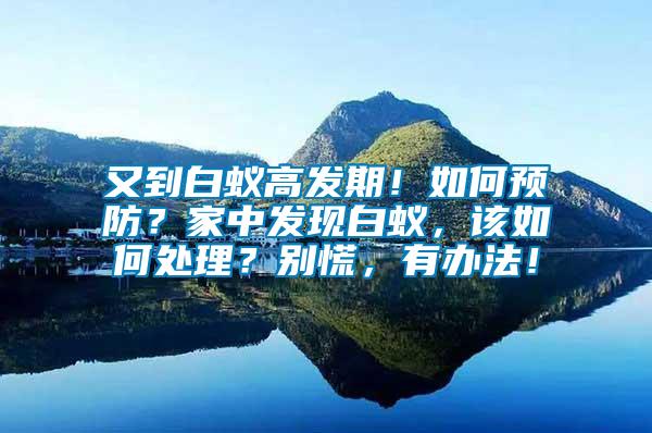 又到白蟻高發(fā)期！如何預(yù)防？家中發(fā)現(xiàn)白蟻，該如何處理？別慌，有辦法！