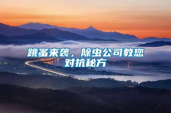 跳蚤來襲，除蟲公司教您對(duì)抗秘方