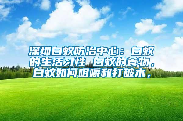 深圳白蟻防治中心：白蟻的生活習性 白蟻的食物，白蟻如何咀嚼和打破木，