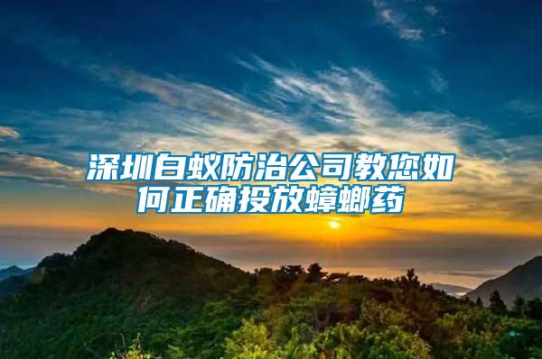 深圳白蟻防治公司教您如何正確投放蟑螂藥