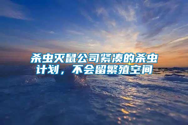 殺蟲滅鼠公司緊湊的殺蟲計劃，不會留繁殖空間