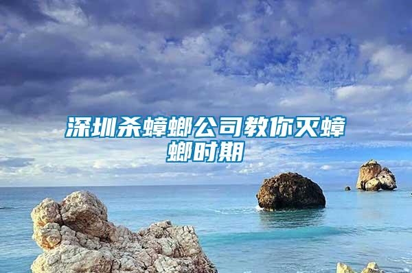 深圳殺蟑螂公司教你滅蟑螂時期