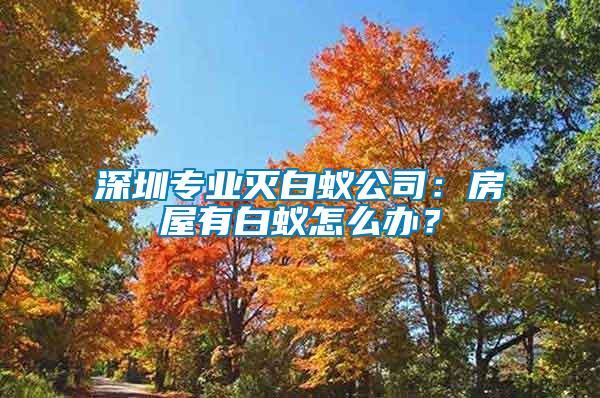 深圳專業(yè)滅白蟻公司：房屋有白蟻怎么辦？