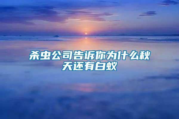 殺蟲(chóng)公司告訴你為什么秋天還有白蟻