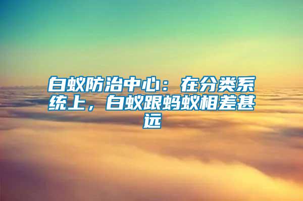 白蟻防治中心：在分類系統(tǒng)上，白蟻跟螞蟻相差甚遠(yuǎn)