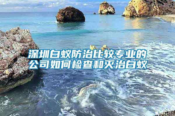 深圳白蟻防治比較專業(yè)的公司如何檢查和滅治白蟻