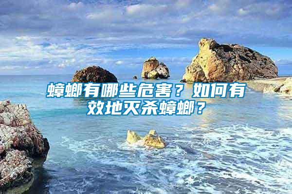 蟑螂有哪些危害？如何有效地滅殺蟑螂？