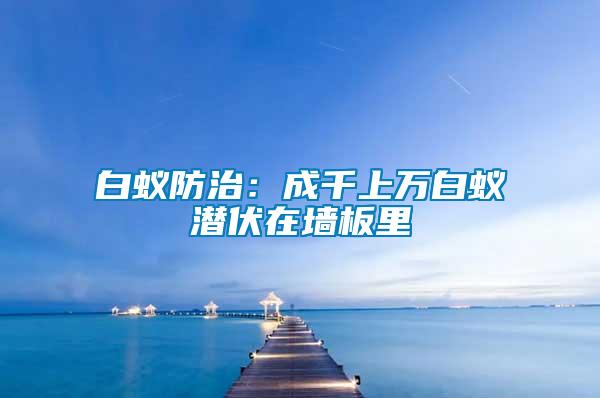 白蟻防治：成千上萬白蟻潛伏在墻板里