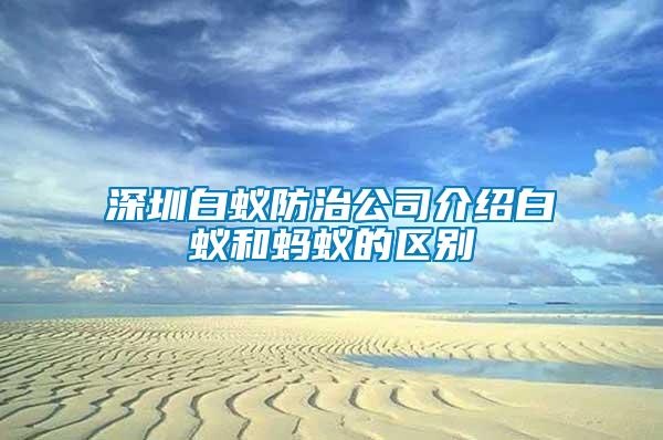 深圳白蟻防治公司介紹白蟻和螞蟻的區(qū)別