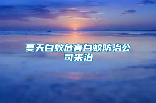 夏天白蟻危害白蟻防治公司來治