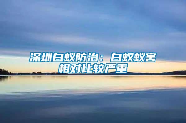 深圳白蟻防治：白蟻蟻害相對比較嚴(yán)重