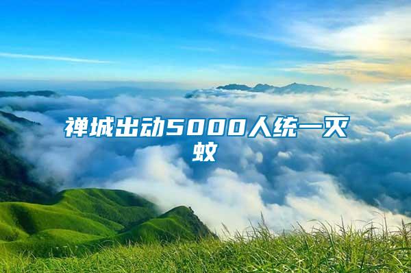 禪城出動5000人統(tǒng)一滅蚊