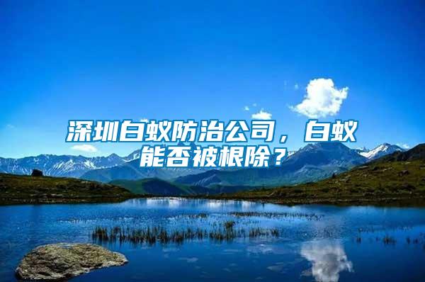 深圳白蟻防治公司，白蟻能否被根除？