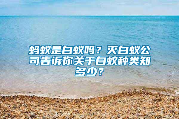 螞蟻是白蟻嗎？滅白蟻公司告訴你關(guān)于白蟻種類知多少？