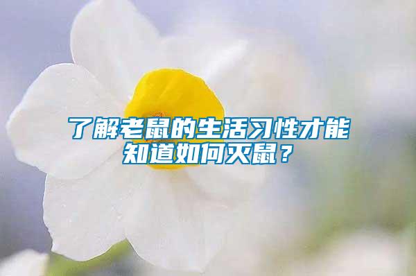 了解老鼠的生活習(xí)性才能知道如何滅鼠？