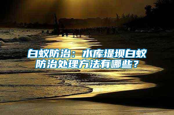 白蟻防治：水庫堤壩白蟻防治處理方法有哪些？