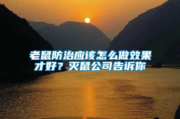 老鼠防治應(yīng)該怎么做效果才好？滅鼠公司告訴你