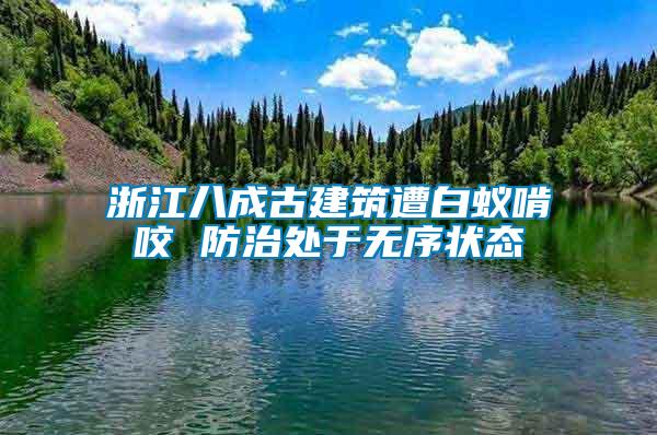 浙江八成古建筑遭白蟻啃咬 防治處于無(wú)序狀態(tài)