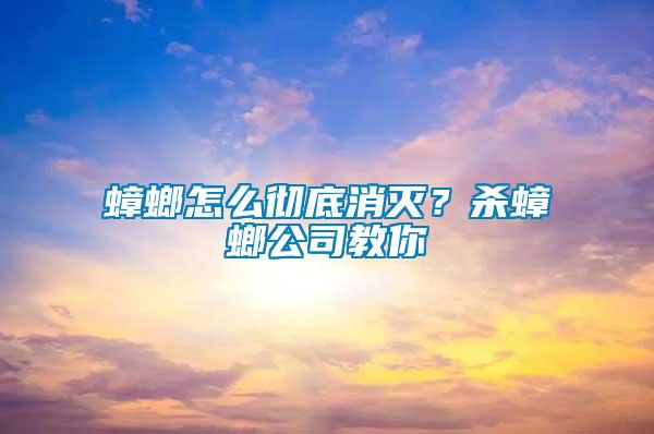 蟑螂怎么徹底消滅？殺蟑螂公司教你