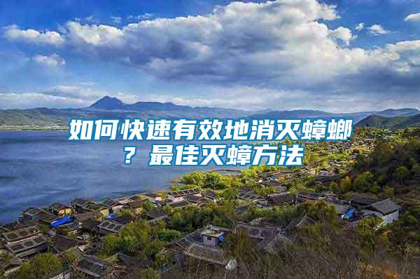 如何快速有效地消滅蟑螂？最佳滅蟑方法