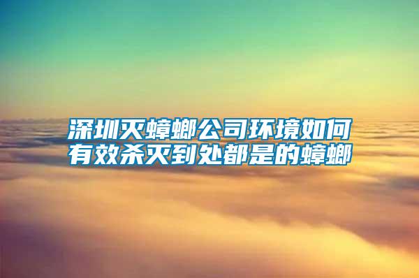 深圳滅蟑螂公司環(huán)境如何有效殺滅到處都是的蟑螂