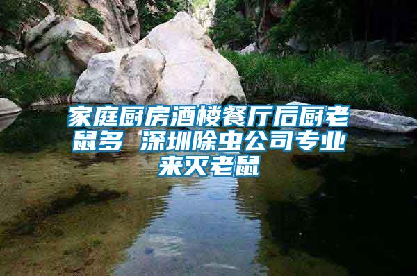 家庭廚房酒樓餐廳后廚老鼠多 深圳除蟲公司專業(yè)來滅老鼠