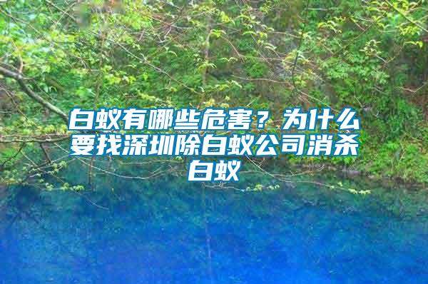 白蟻有哪些危害？為什么要找深圳除白蟻公司消殺白蟻